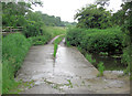 Farm bridge over the River Deben