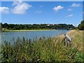 The River Rother from the east bank