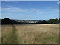 Footpath to Brasses Farm