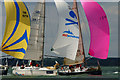 SZ4896 : Colourful Cowes by Peter Trimming