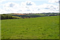 Grass field and hedgerow