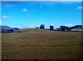 Farmland north of the Ballydugan Road