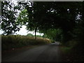 Lughorse Lane, near Hunton