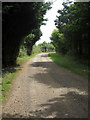 Bridleway through Newfield Spinney