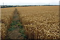 Footpath from Hardmead to the Newport Road