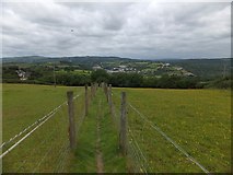 SX4467 : Footpath from Bere Alston to the station by David Smith