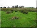 Rushy ground, Learden Lower