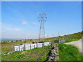 Sheep Pens and Pylons