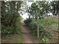 Footpath to High Cross