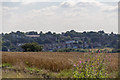 Farmland, Trent Park, Cockfosters, Hertfordshire