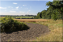TQ2997 : Farmland, Trent Park, Cockfosters, Hertfordshire by Christine Matthews