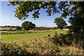 TQ3097 : Farmland, Trent Park, Enfield, Middlesex by Christine Matthews