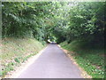 Minor road rising from the ford at Bourne Bridge