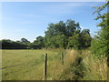 Footpath towards Cawdey Field