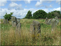 NS5966 : Sighthill Stone Circle by Thomas Nugent