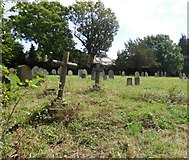 TQ2122 : St Peter's Churchyard, Cowfold by Paul Gillett