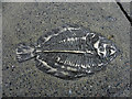 Fish plaque, Derry / Londonderry