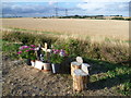 Roadside shrine on Roper