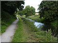 Grantham Canal east of Vincent Bridge