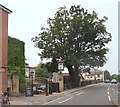 Folly Bridge, Oxford