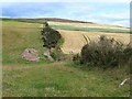 Fields below Brown Caterthun