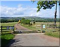 The track to Westerheugh