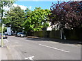 Houses in York Road