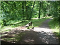 Seat on River Ayr Way near Failford