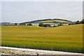 Small valley looking towards Coombe