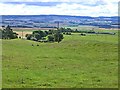 Southern slopes of the Hill of St Fink