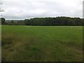 Grassland and Lower Northclose Copse