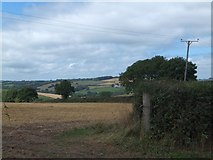 SS6705 : Field near Dingley Dell by David Smith