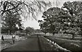 Road by Crofts, Bolam