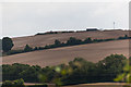 Clanfield Observatory seen from Old Mill Lane