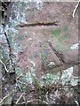 Ordnance Survey Cut Mark