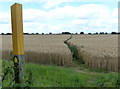 Footpath across the fields to Upton