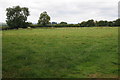 Farmland near Crick