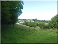 Pasture near Wheddon Cross