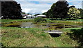 Pond, Llanddewi Ystradenni, Powys