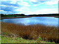 Ashpits Pond, Burry Port