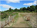 Path around Nosterfield Nature Reserve