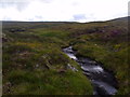 NN8686 : Clais Bheag south-east of Carn an Fhidhleir Lorgaidh above Glen Feshie, Aviemore by ian shiell