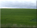 Farmland near Aberdour