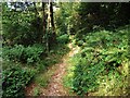 Footpath near Llanpumsaint