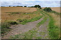 Farm track and wheat field