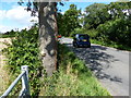 Cars along Higham Lane