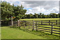 Footpath to Faceby