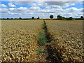 Footpath leading away from Thornborough