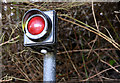 J4079 : Red light, Seapark, Holywood by Albert Bridge