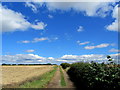 SE3079 : Track leading to the B6267 by Chris Heaton